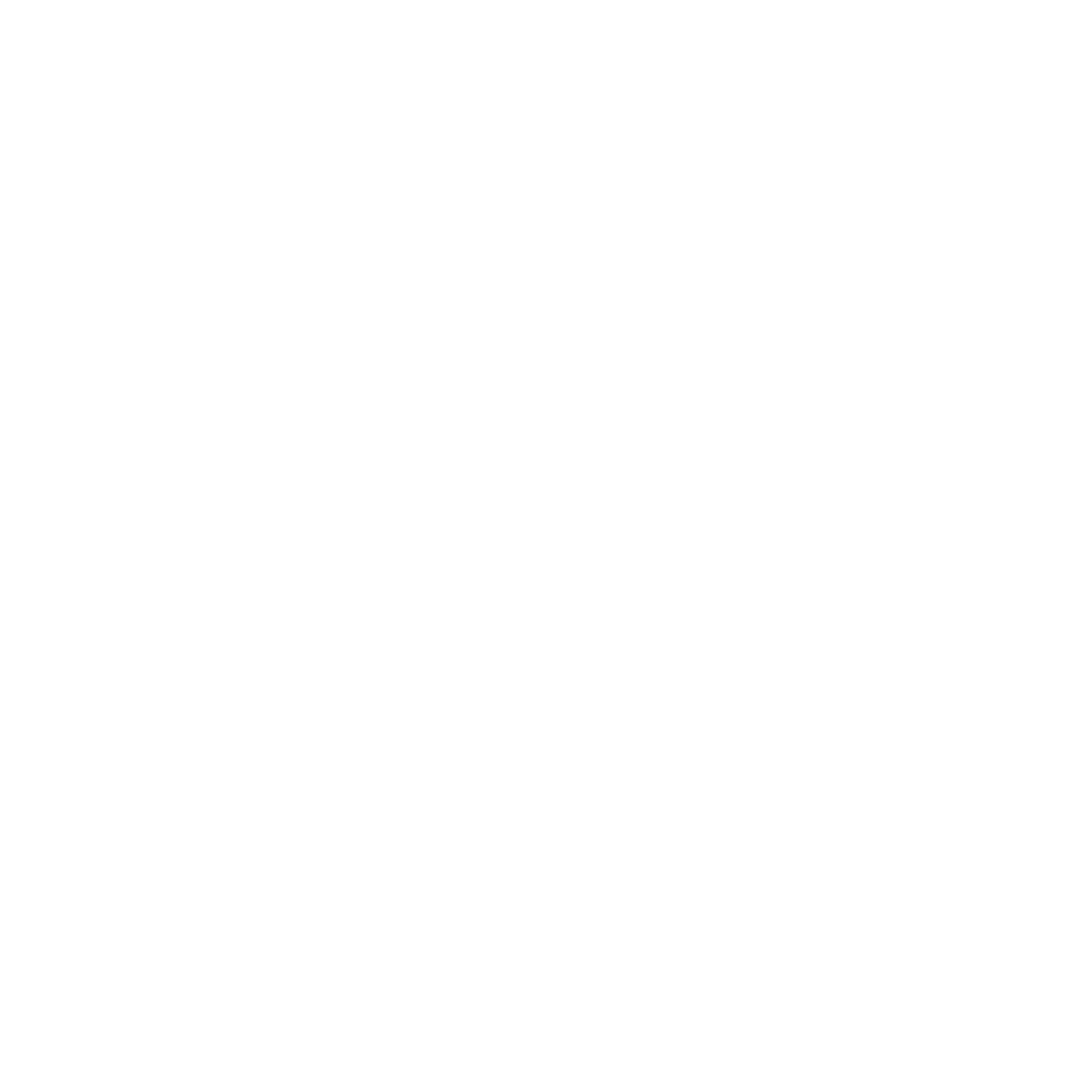 Logo White
